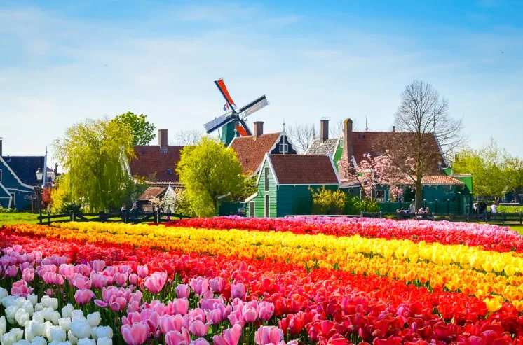 出國打工度假地點推薦第十名荷蘭