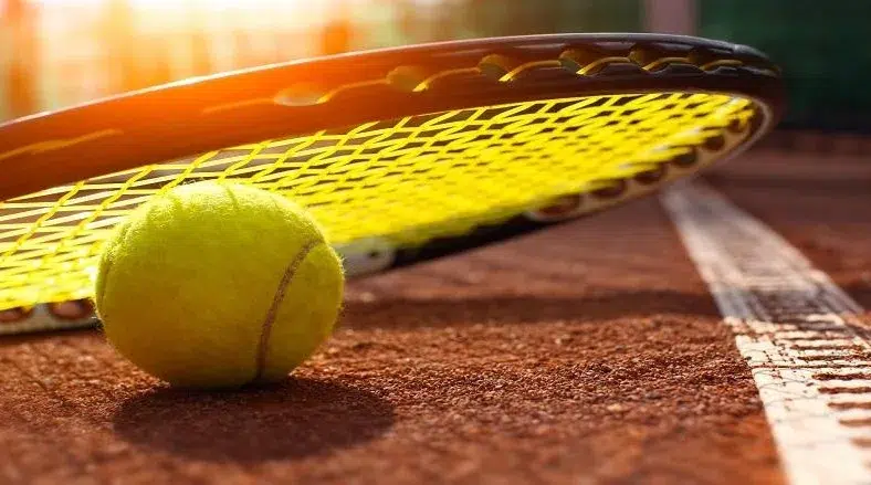 投注網球技巧：從大滿貫到巡迴賽，掌握市場風潮